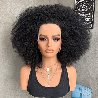 18" Natural Black 13x4 Lace Front Human Mixed Synthetic Hair Wigs with Kinky Curly