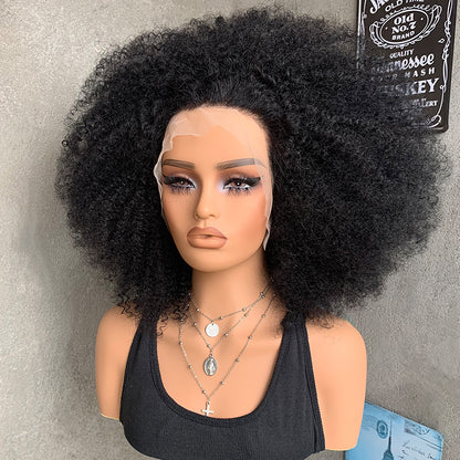 18" Natural Black 13x4 Lace Front Human Mixed Synthetic Hair Wigs with Kinky Curly