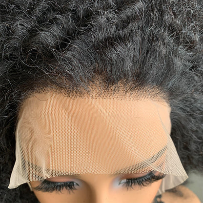 18" Natural Black 13x4 Lace Front Human Mixed Synthetic Hair Wigs with Kinky Curly